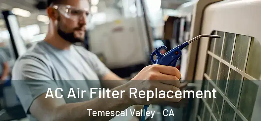  AC Air Filter Replacement Temescal Valley - CA