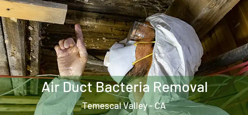 Air Duct Bacteria Removal Temescal Valley - CA