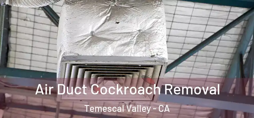  Air Duct Cockroach Removal Temescal Valley - CA