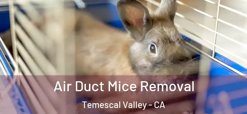  Air Duct Mice Removal Temescal Valley - CA