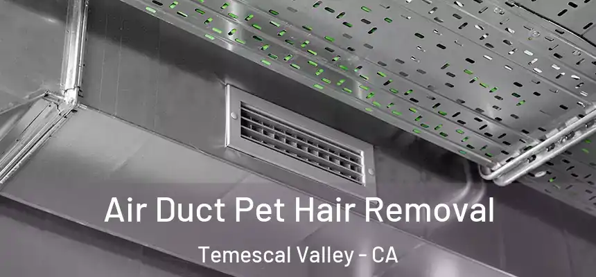  Air Duct Pet Hair Removal Temescal Valley - CA