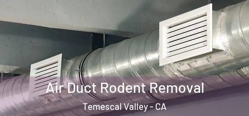 Air Duct Rodent Removal Temescal Valley - CA