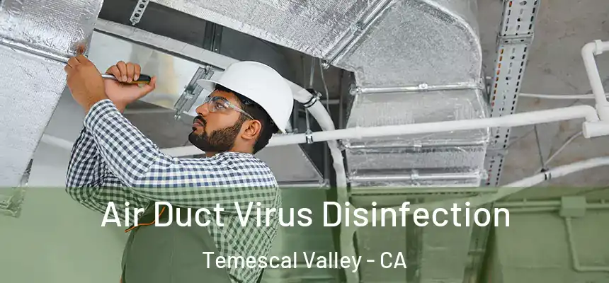  Air Duct Virus Disinfection Temescal Valley - CA