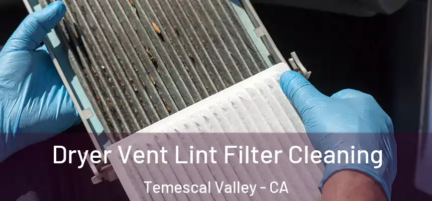 Dryer Vent Lint Filter Cleaning Temescal Valley - CA