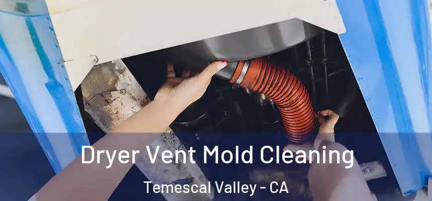 Dryer Vent Mold Cleaning Temescal Valley - CA
