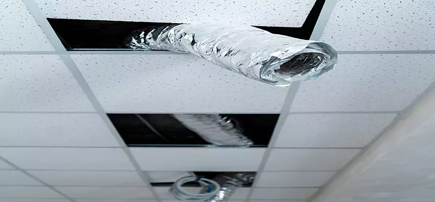 Our Air Duct Pet Hair Removal Services in Temescal Valley, CA