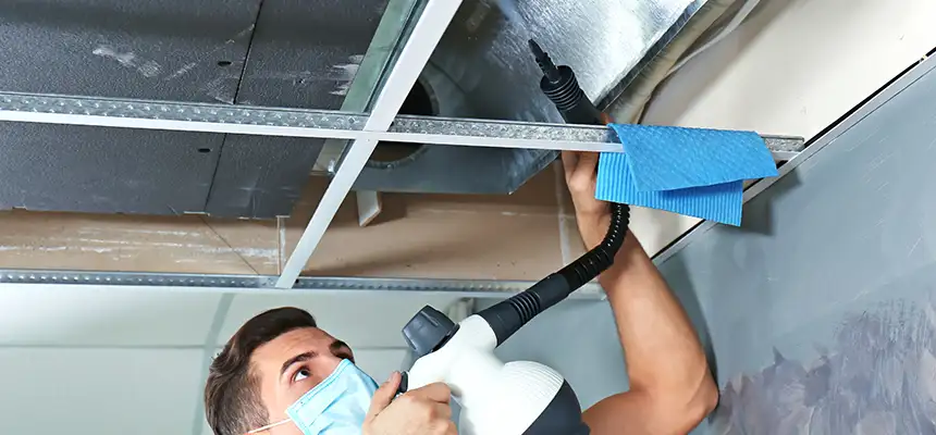 Our Air Duct Rodent Removal Services in Temescal Valley, CA