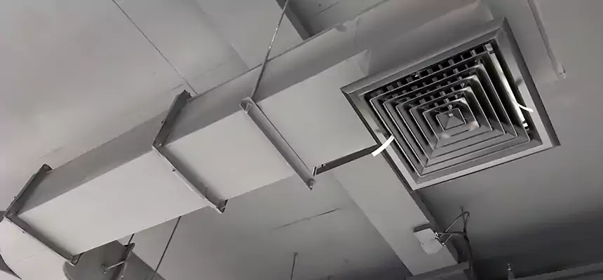 Restorative Allergy Relief Vent Cleaning – Coil, Blower & Housing Detail in Temescal Valley