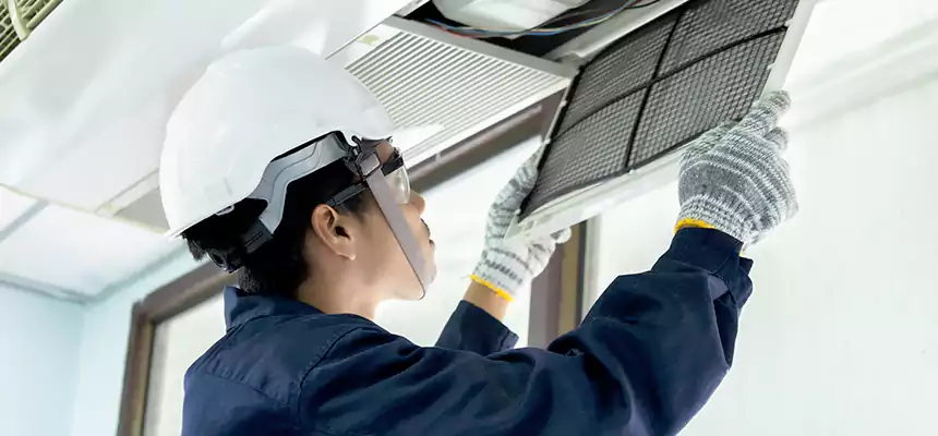 Our Mold & Mildew Removal from Air Ducts Services in Temescal Valley, CA