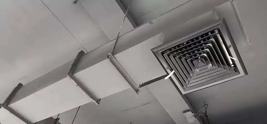 Our Rodent Droppings In Vents Services in Temescal Valley, CA