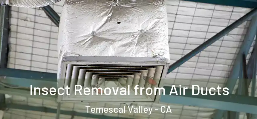  Insect Removal from Air Ducts Temescal Valley - CA