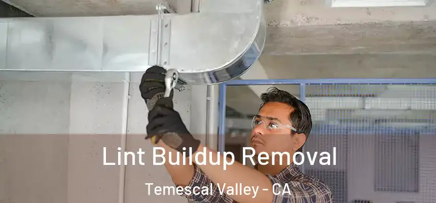 Lint Buildup Removal Temescal Valley - CA