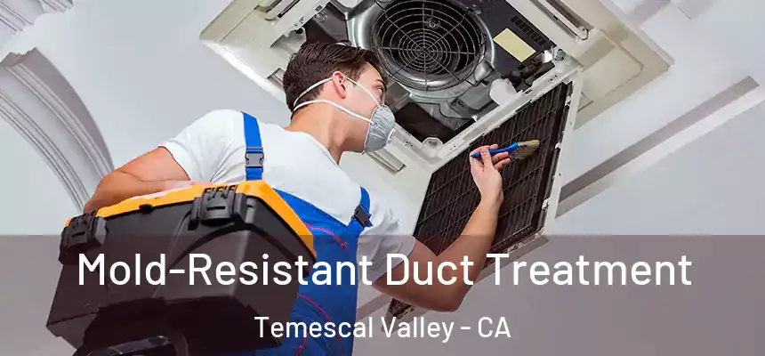  Mold-Resistant Duct Treatment Temescal Valley - CA