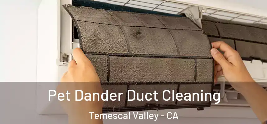  Pet Dander Duct Cleaning Temescal Valley - CA