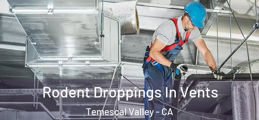  Rodent Droppings In Vents Temescal Valley - CA