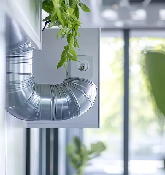 Professional Eco-Safe Dryer Vent Cleaning in Temescal Valley, CA