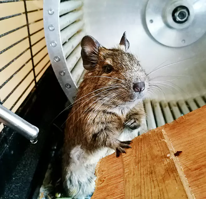 Why Homeowners & Businesses Trust Us Temescal Valley, CA?