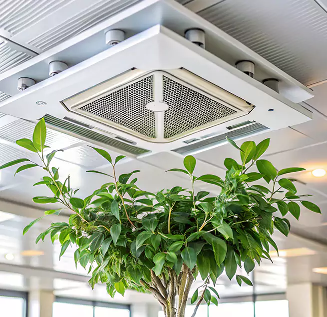 Why Homeowners & Businesses Trust Us in Temescal Valley, CA